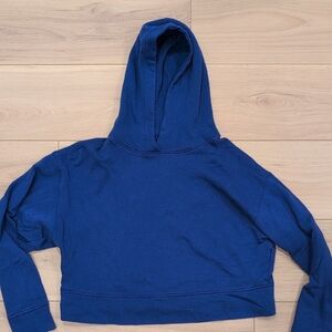 Old Navy Cropped Baskc Hoodie